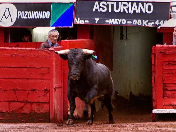 Arrastre lento justo premio