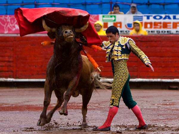 Excelente forzado de pecho