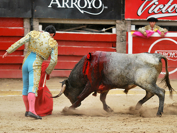 Preparando un sabroso trincherazo