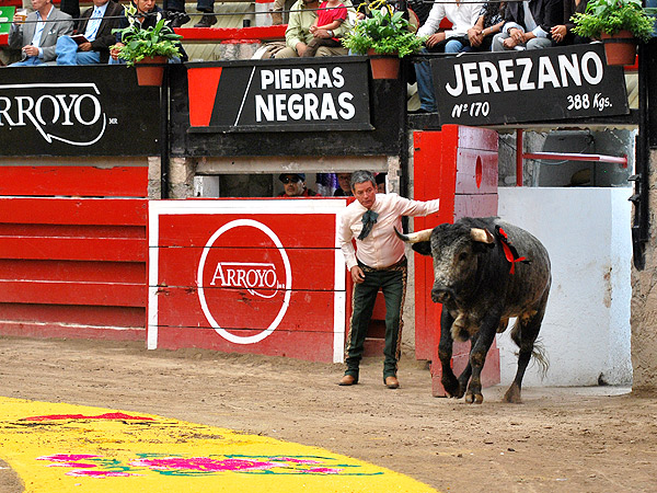 Saliendo ante el tapete