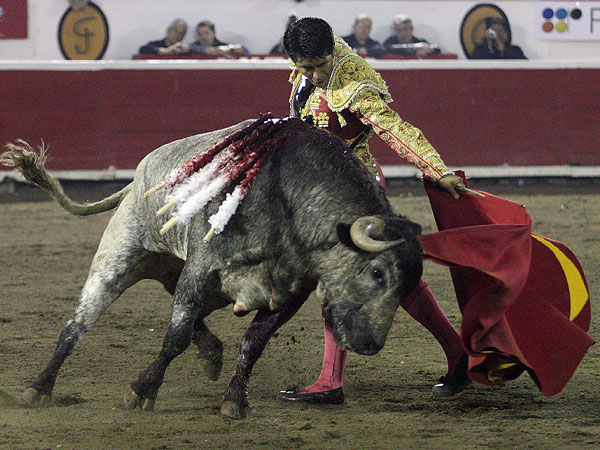 Torero mandn