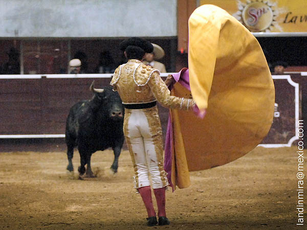 Zapopinas en los medios