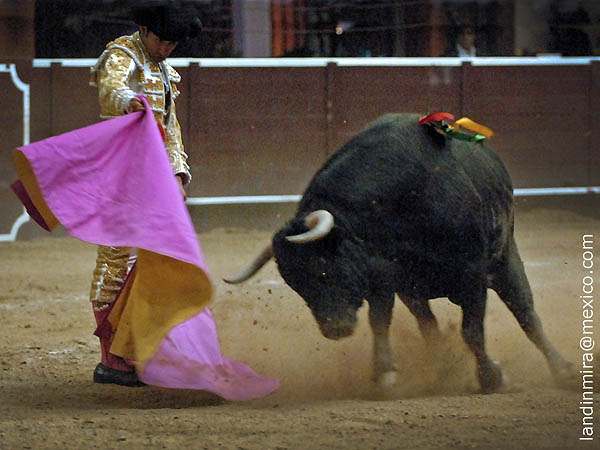 Vernicas de Joselito