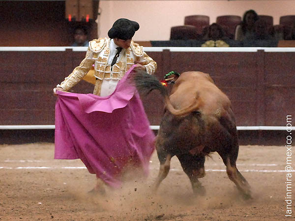 Chicuelinas de Joselito