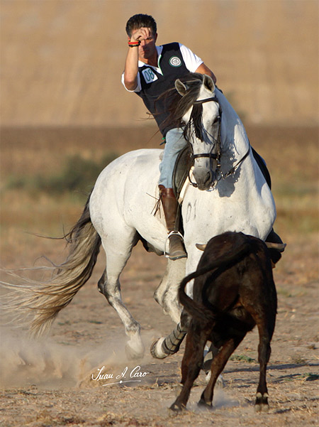 A campo abierto