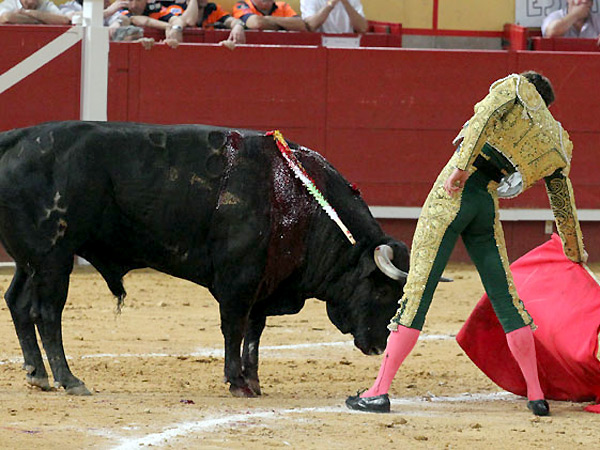 Aguantando un frenazo del toro