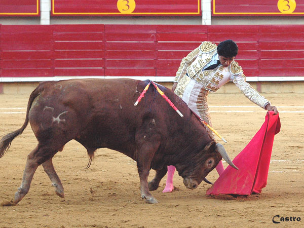 Camino a Madrid