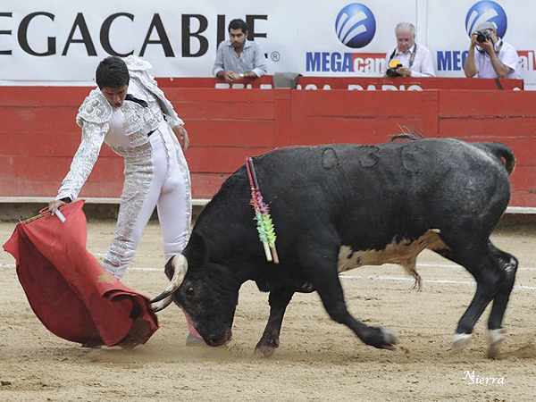 Fijo en la sarga