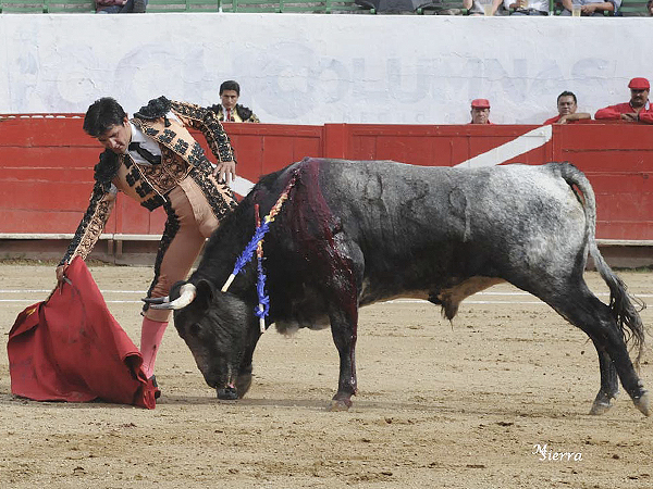 Bajando la mano