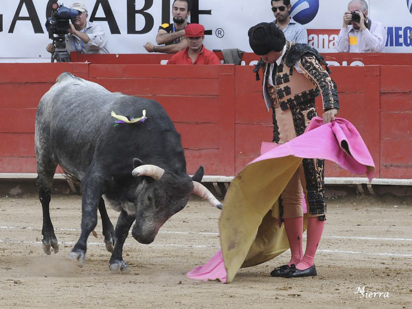 Plantado en la arena