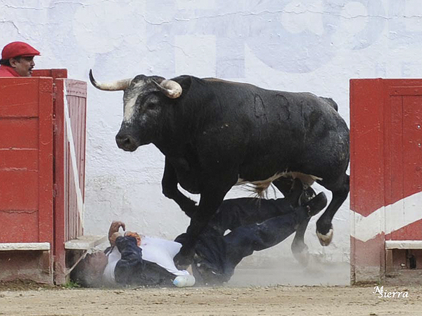 Peligro en el callejn