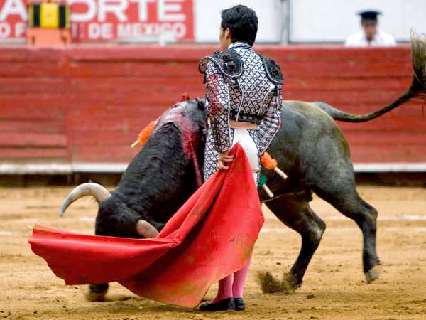 Juan Pedro, luz y sombra