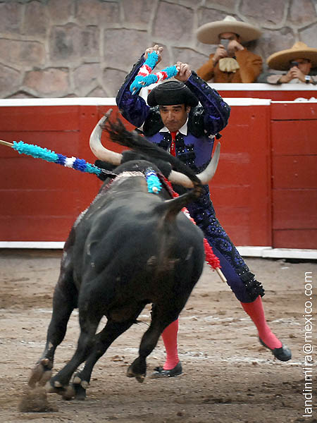 La cabeza alta