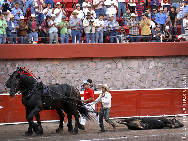 Arrastre lento y palmas