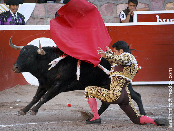 Todo el repertorio