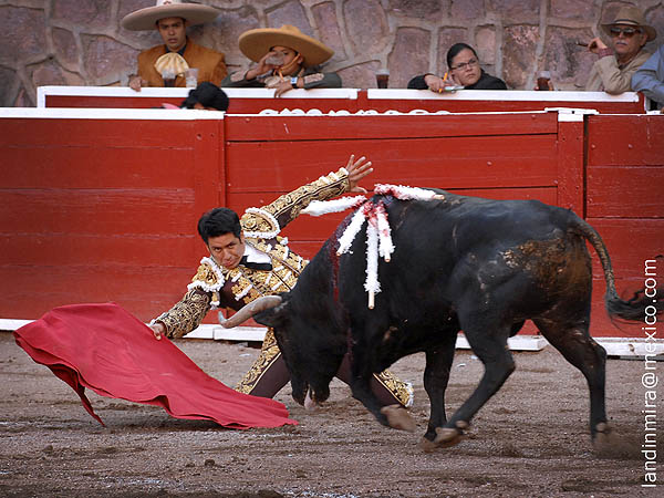 Calidad desde el primer muletazo