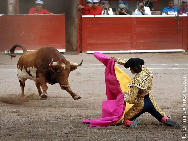 Barba, buscando el triunfo