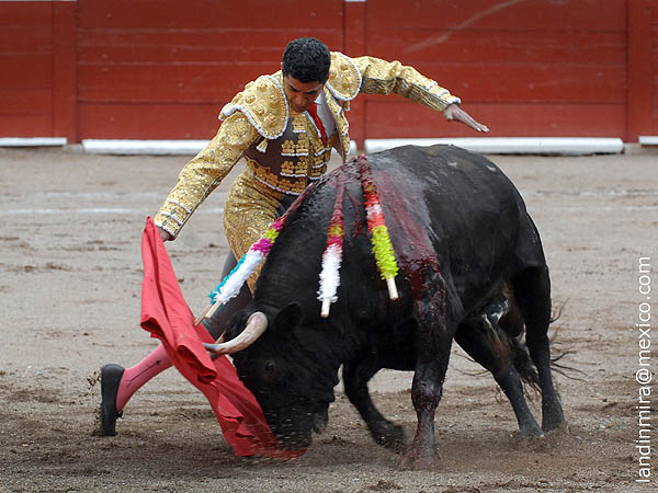 Toreo en redondo