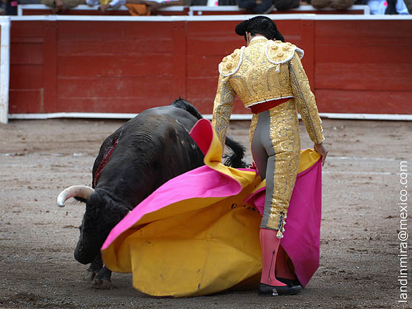 Magia en el capote