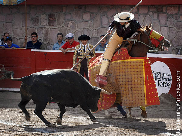 Csar Morales en varas