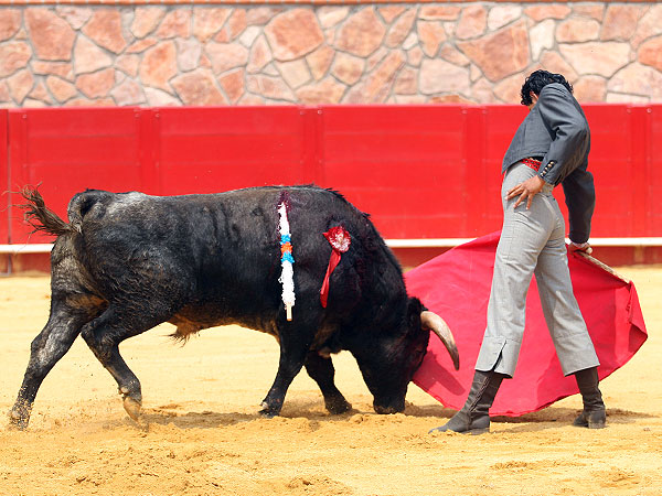 Calidad del de San Mateo