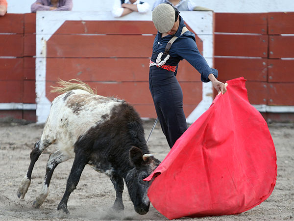 Angelino de Arriaga arte y decisin