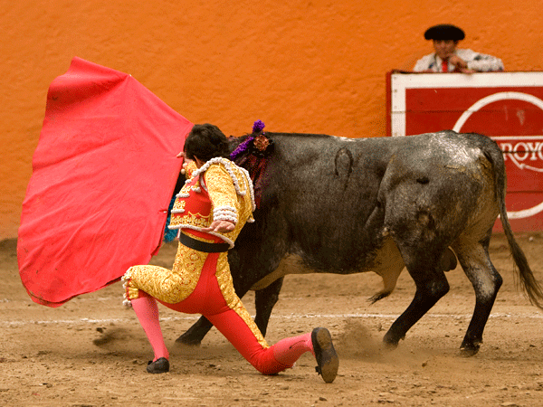 Remate de hinojos