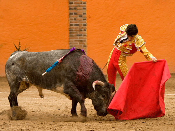 Templando