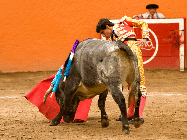 Bajando el engao