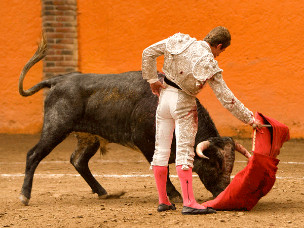 Norea , grata sorpresa