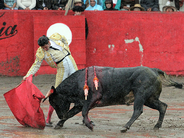 Trazo largo del michoacano