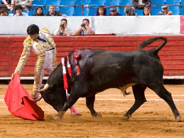 Templando la embestida