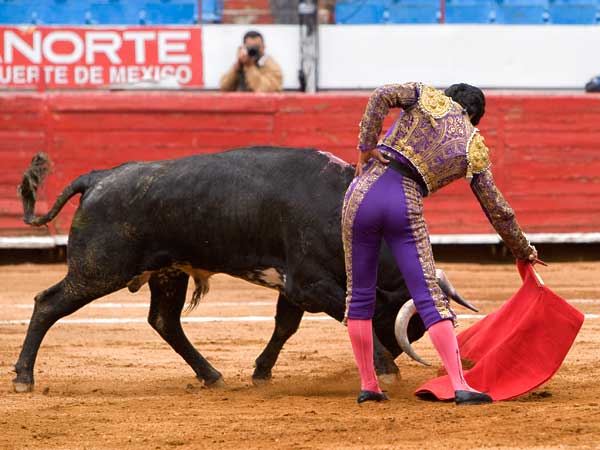 Bajando la muleta