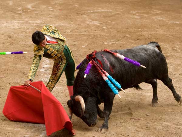 Templando la embestida