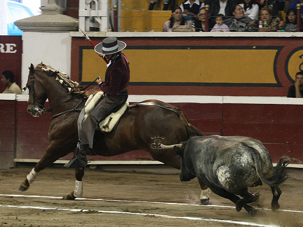 La codicia del toro