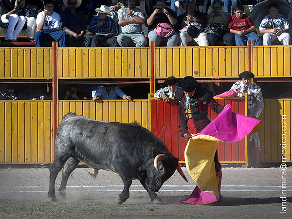 Vuelo de capote