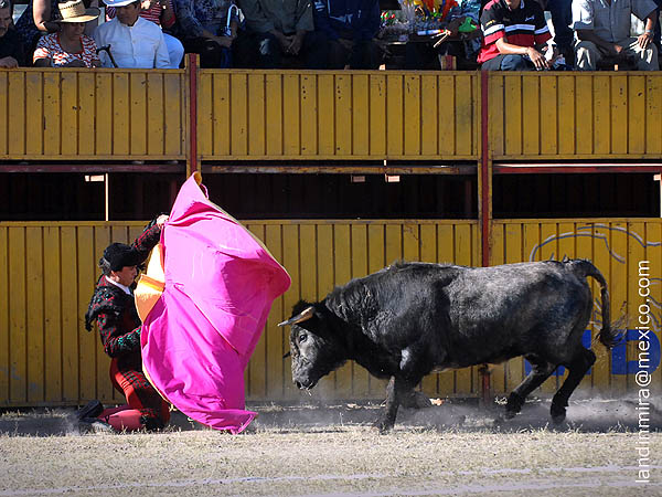 Larga cambiada del norteo