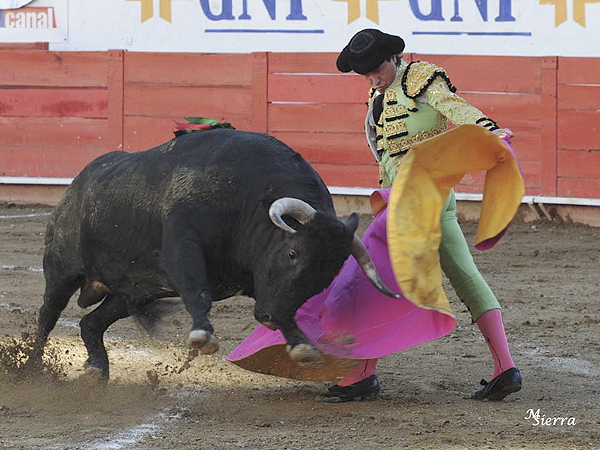 Un sevillano en Guadalajara