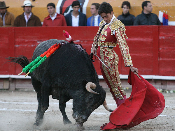 Torero artista