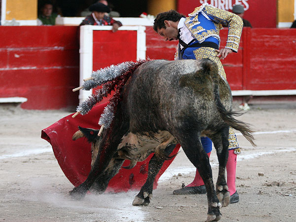 Gran tarde del michoacano