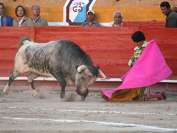 Arturo Macas de hinojos