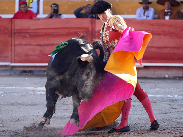 Pedro Gutirrez Lorenzo