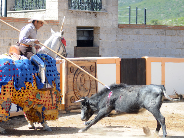 Alegre al caballo