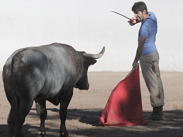 Perfilado para matar