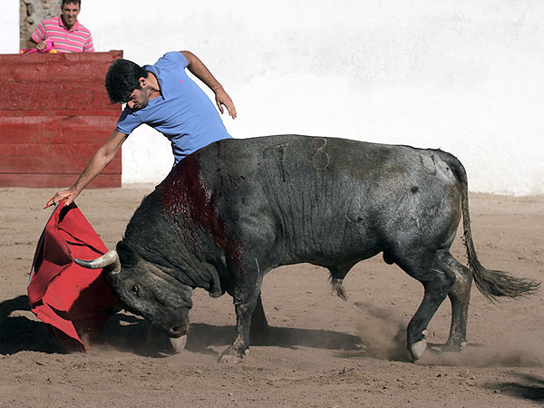 Talavante, tentando