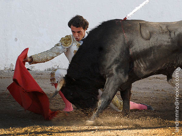 Rodilla en tierra