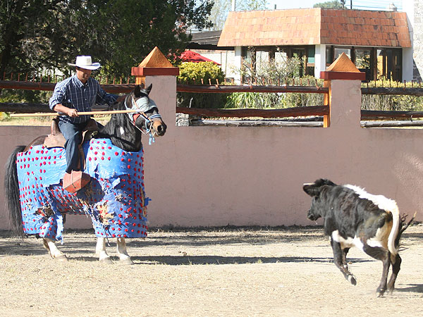 Se arranc de largo