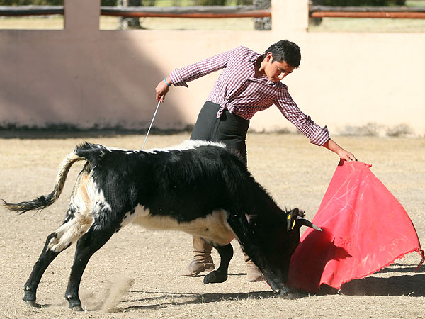 Ulises Snchez estirndose