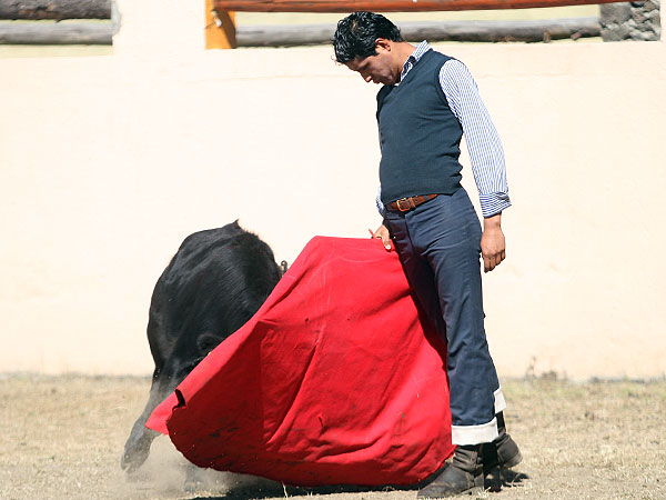 Tersura y cadencia