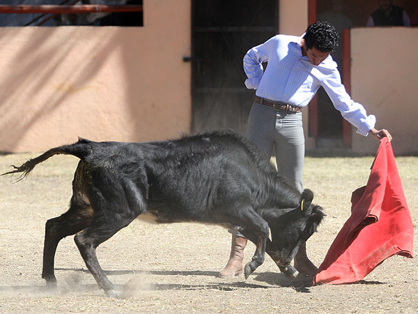 Acariciando la embestida